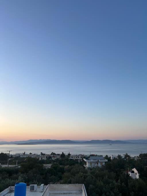 Villa Leo Aigina Vathí Exteriér fotografie